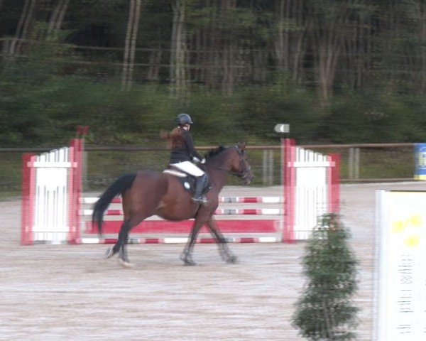 Reitturnier Igls 2024