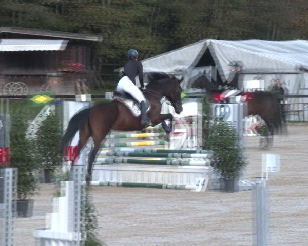Reitturnier Igls 2024