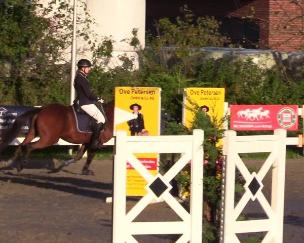 Reitturnier Mildstedt - Jumping Team Nord - 2024