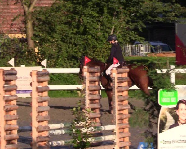 Reitturnier Mildstedt - Jumping Team Nord - 2024