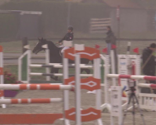 Reitturnier Poxdorf/Ofr 2024