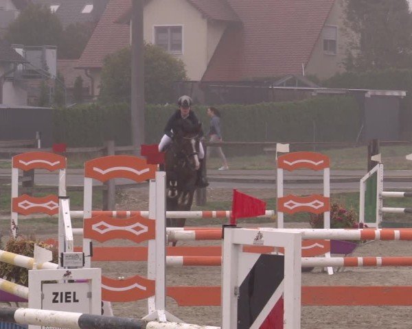 Reitturnier Poxdorf/Ofr 2024