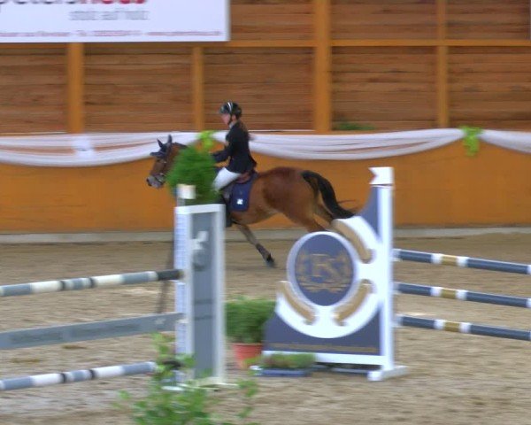 Reitturnier Xanten - Reitanlage Miss 2024