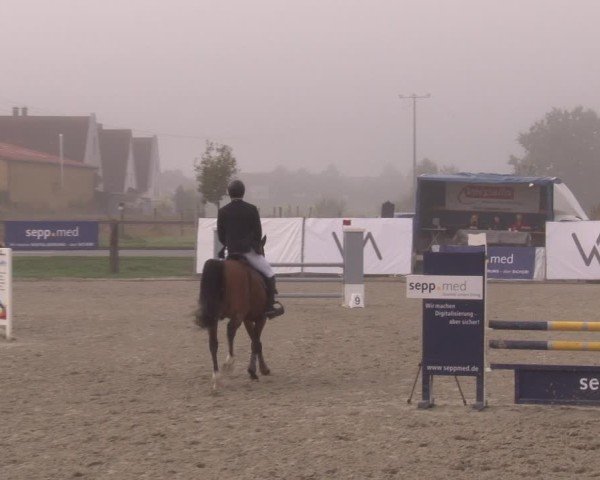 Reitturnier Poxdorf/Ofr 2024
