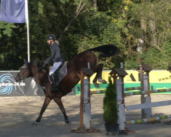 Reitturnier Karlsfeld/Obb. 2024