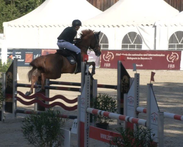 Reitturnier Karlsfeld/Obb. 2024