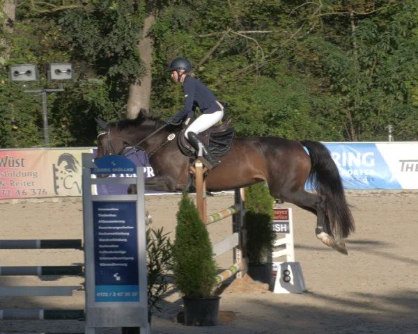 Reitturnier Karlsfeld/Obb. 2024
