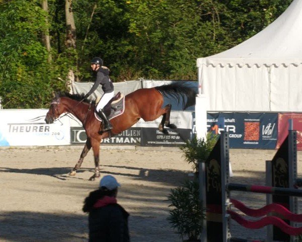 Reitturnier Karlsfeld/Obb. 2024