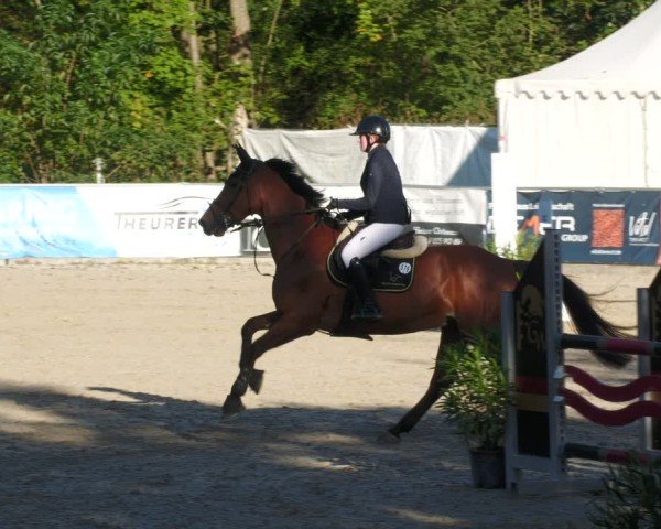 Reitturnier Karlsfeld/Obb. 2024