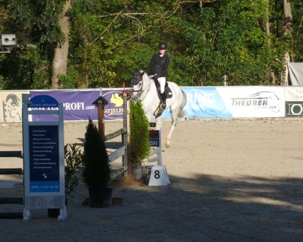 Reitturnier Karlsfeld/Obb. 2024