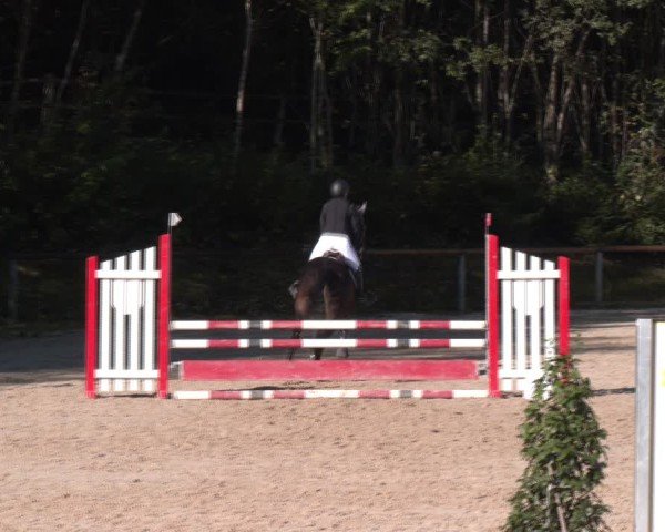 Reitturnier Igls 2024