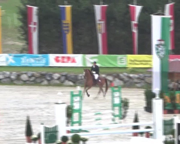 Reitturnier Preding 2024