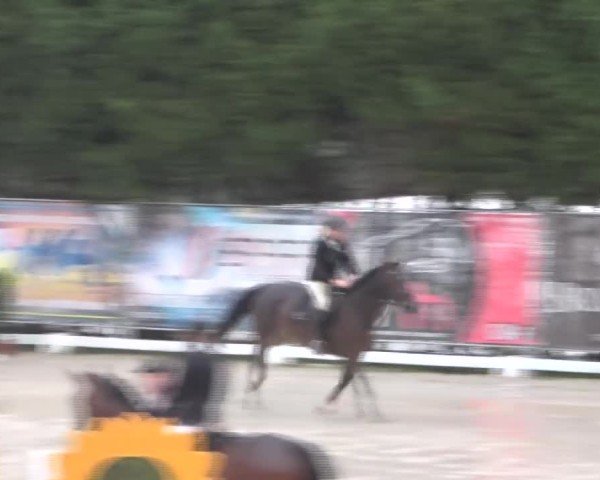 Reitturnier Preding 2024