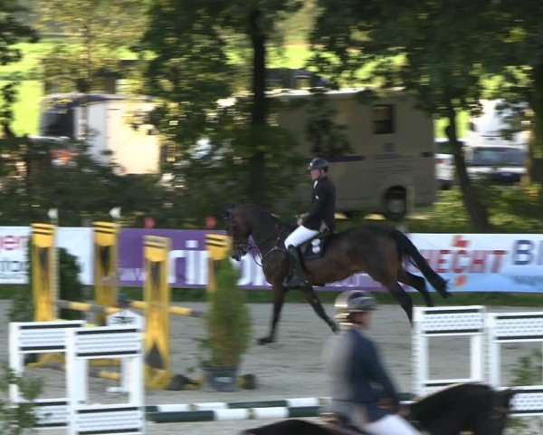 Reitturnier Westergellersen 2024
