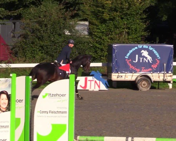 Reitturnier Mildstedt - Jumping Team Nord - 2024