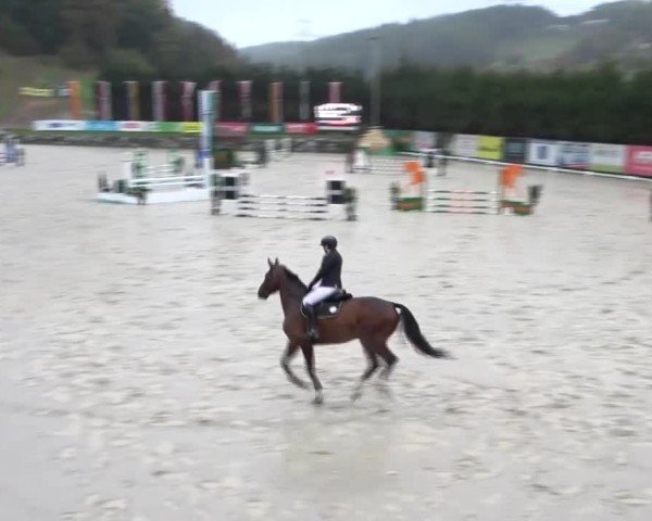 Reitturnier Preding 2024