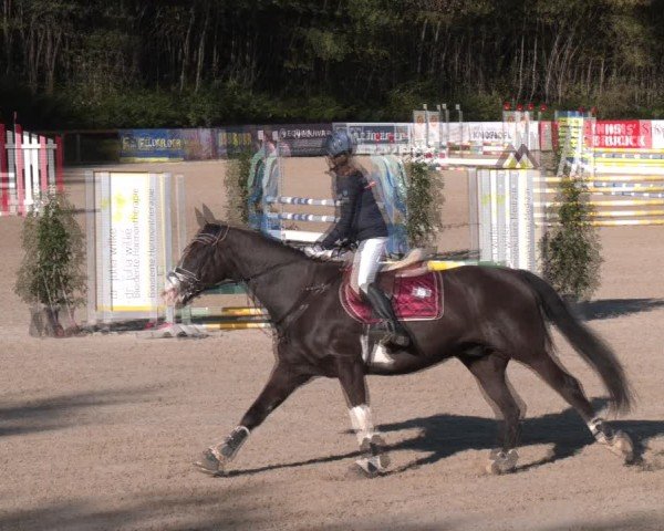 Reitturnier Igls 2024