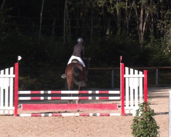 Reitturnier Igls 2024