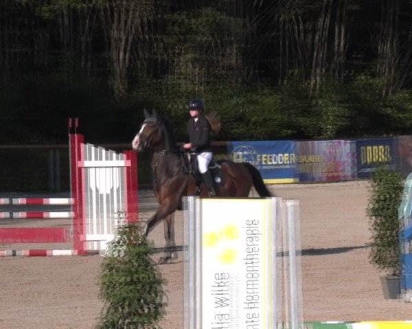 Reitturnier Igls 2024