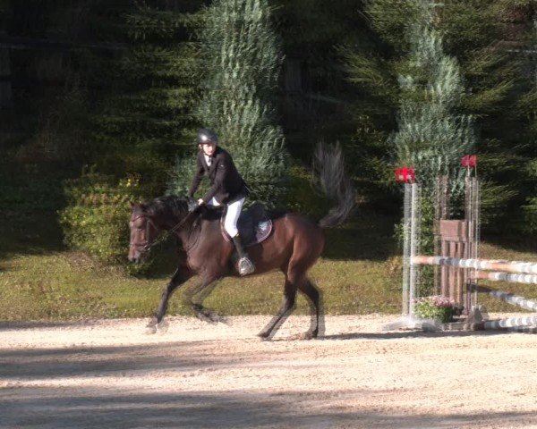 Reitturnier Igls 2024