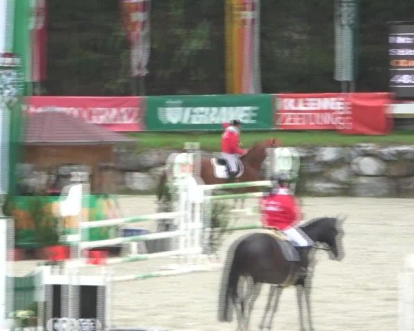 Reitturnier Preding 2024