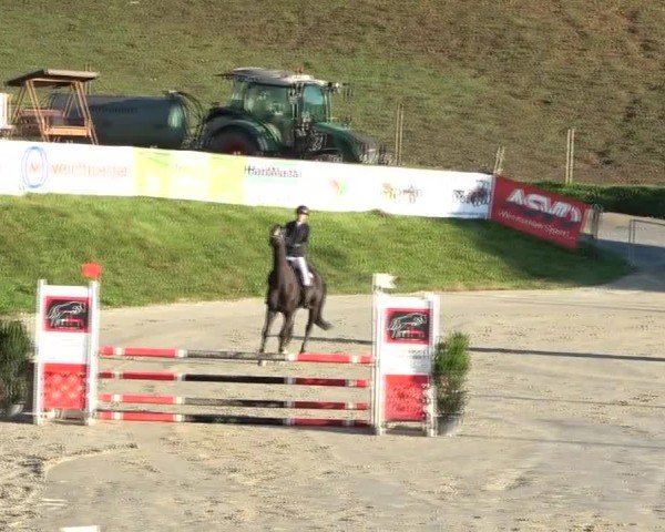 Reitturnier Preding 2024