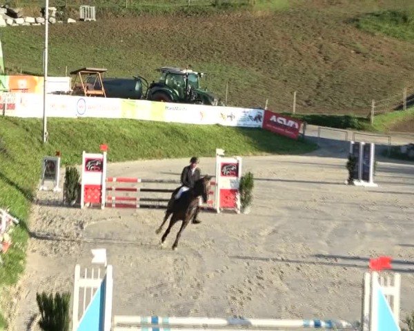 Reitturnier Preding 2024