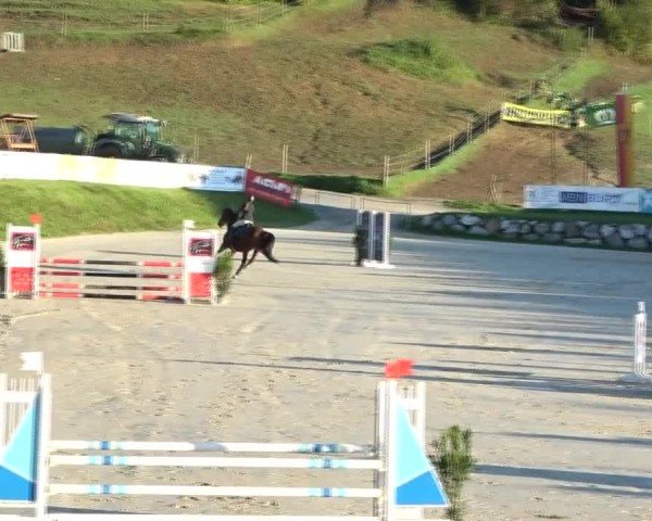 Reitturnier Preding 2024