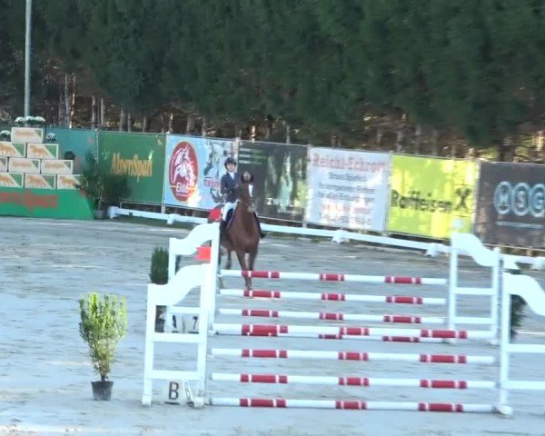 Reitturnier Preding 2024
