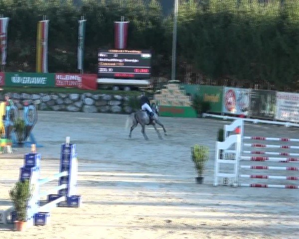 Reitturnier Preding 2024