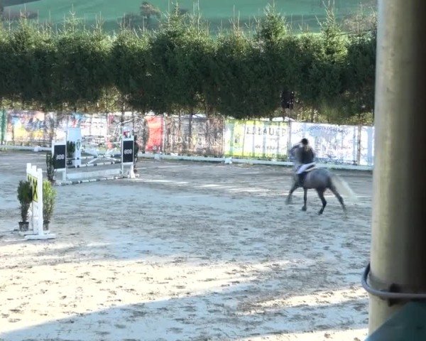 Reitturnier Preding 2024