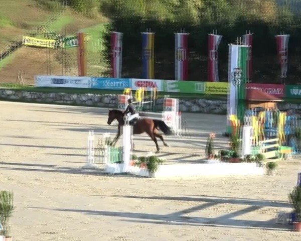 Reitturnier Preding 2024