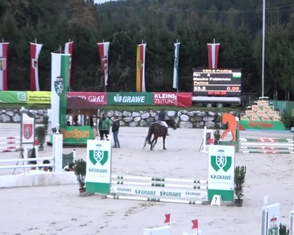 Reitturnier Preding 2024
