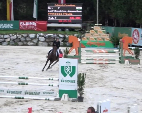 Reitturnier Preding 2024