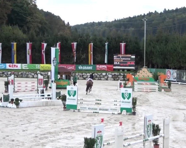 Reitturnier Preding 2024