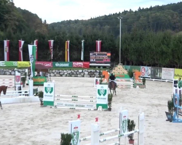 Reitturnier Preding 2024