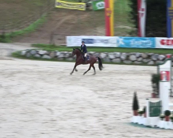 Reitturnier Preding 2024