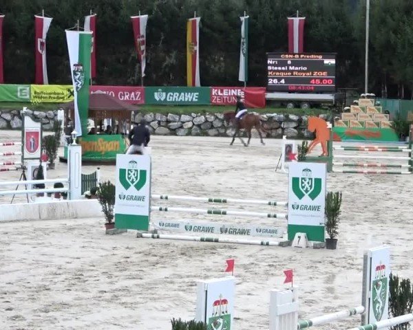 Reitturnier Preding 2024