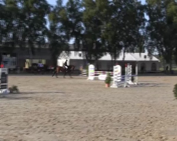 Großes Reit- und Springturnier 2013 des RuF