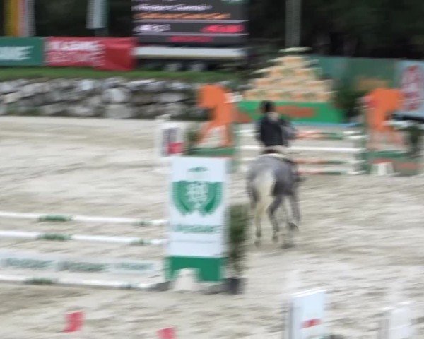 Reitturnier Preding 2024
