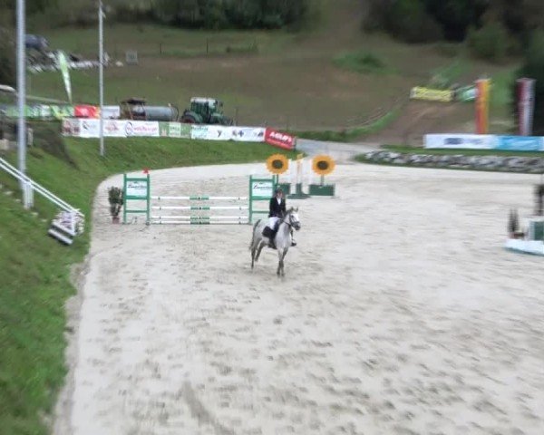 Reitturnier Preding 2024