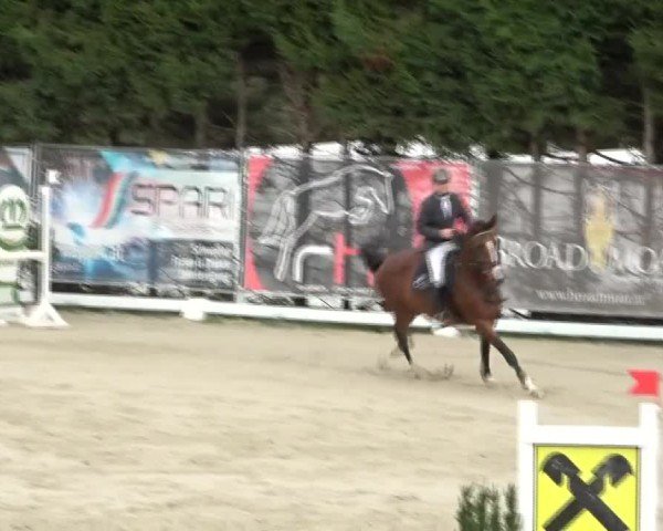 Reitturnier Preding 2024