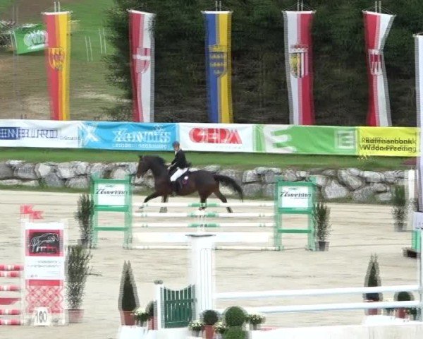 Reitturnier Preding 2024