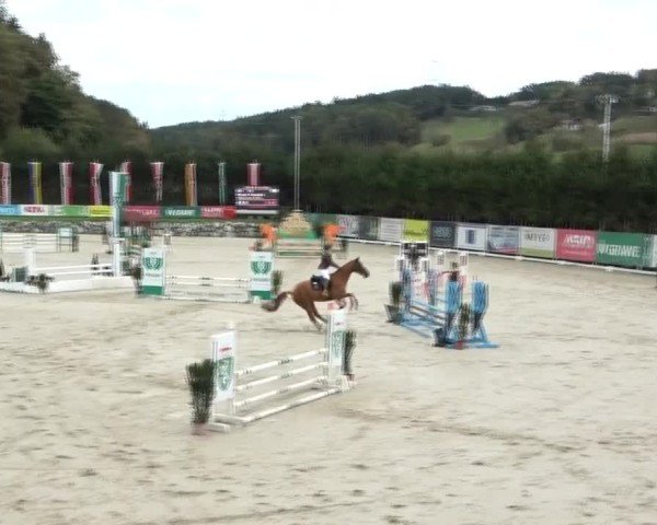 Reitturnier Preding 2024