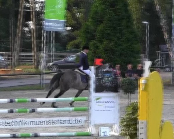 Großes Reit- und Springturnier 2013 des RuF