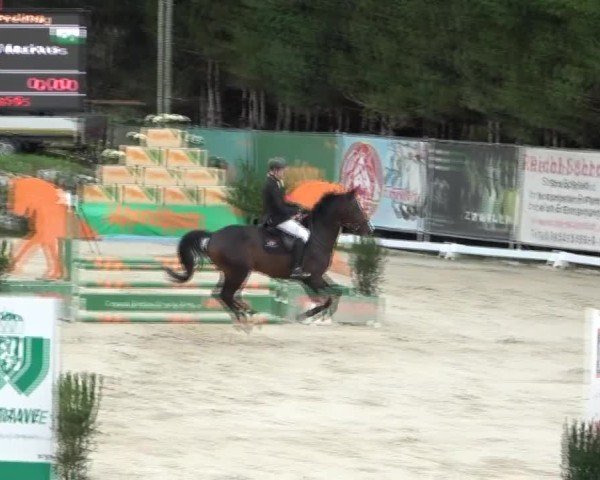Reitturnier Preding 2024