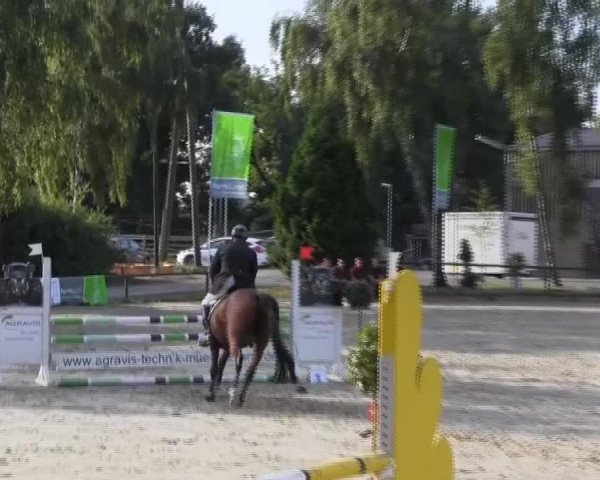 Großes Reit- und Springturnier 2013 des RuF