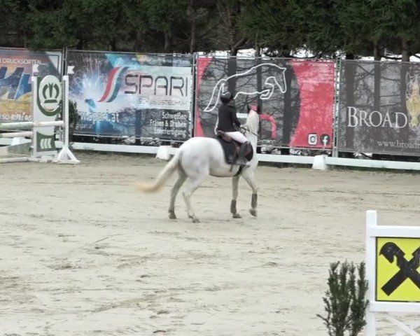 Reitturnier Preding 2024