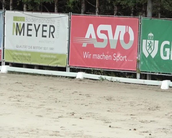 Reitturnier Preding 2024