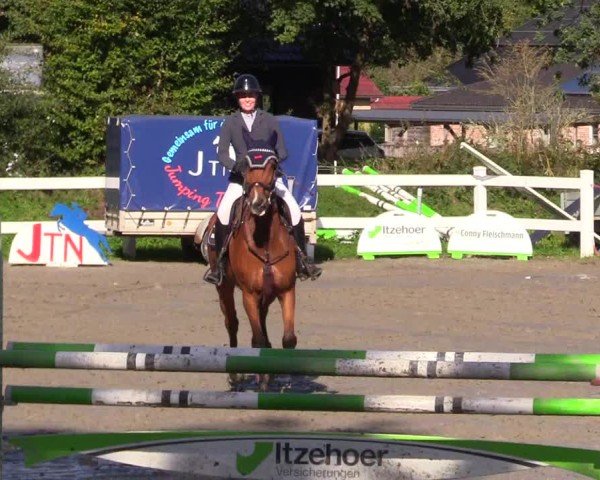 Reitturnier Mildstedt - Jumping Team Nord - 2024